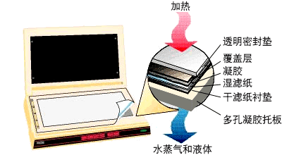 583 型凝胶干燥仪＋HydrTech真空泵=凝胶干燥系统